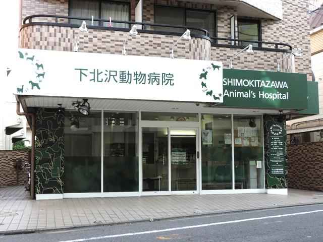 下北沢動物病院