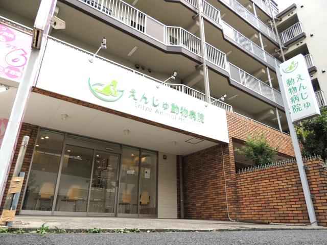 えんじゅ動物病院