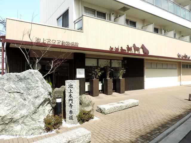 池上アクア動物病院
