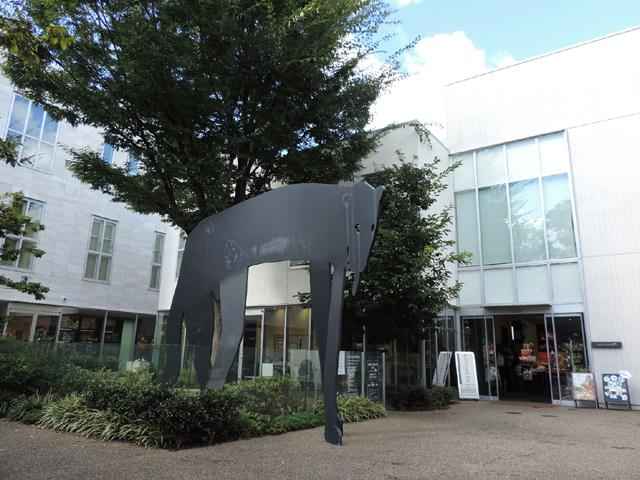代官山動物病院