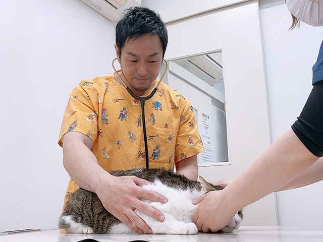 ひとみ動物病院