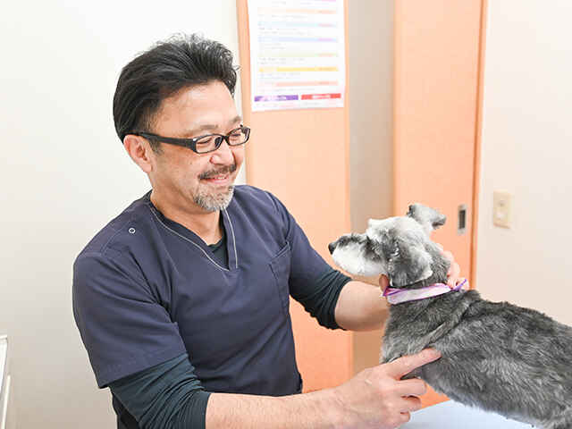 タム動物病院