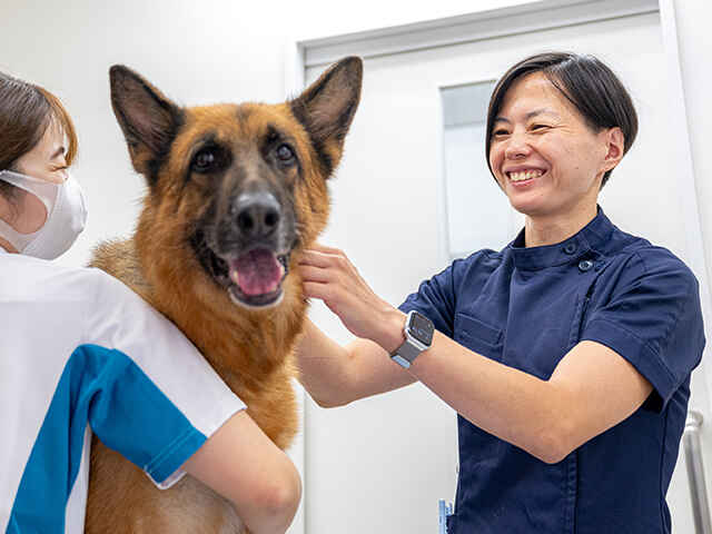 アビス動物病院