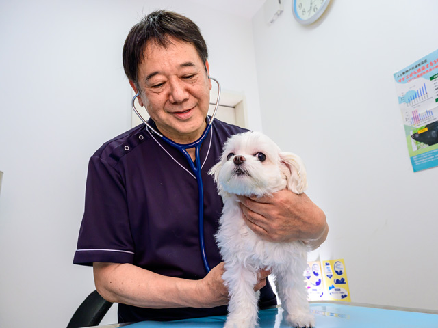田部 久雄 院長