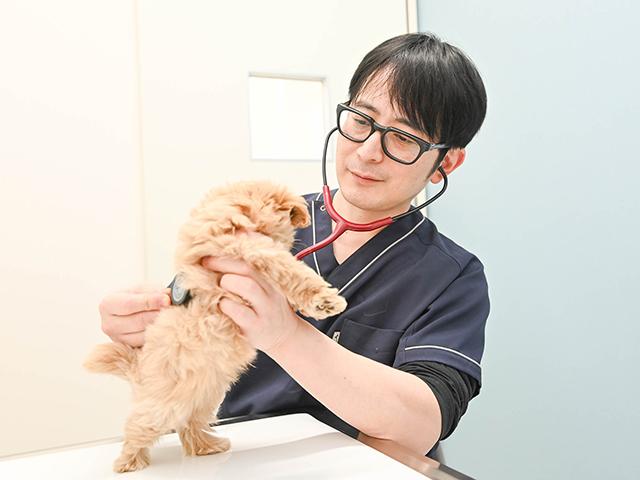 藤野 洋 総獣医師長