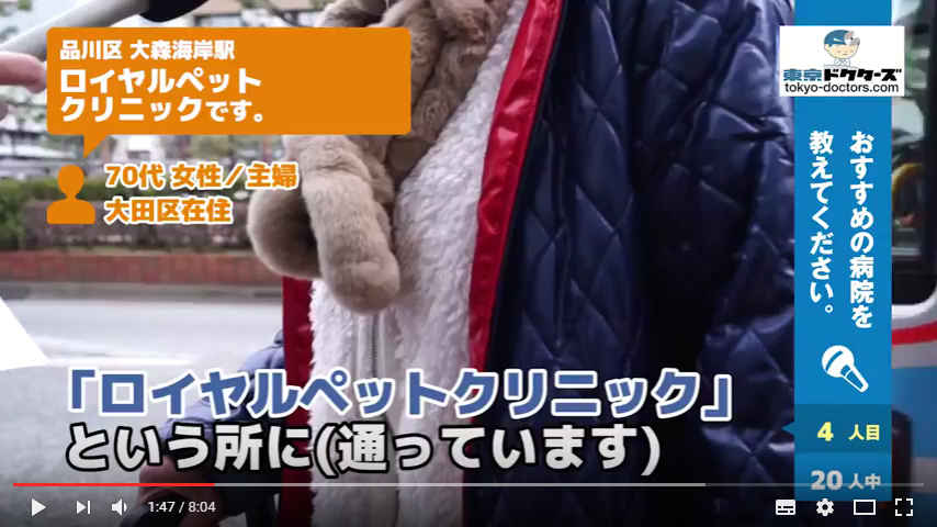 犬飼い主の声／専業主婦／不明在住