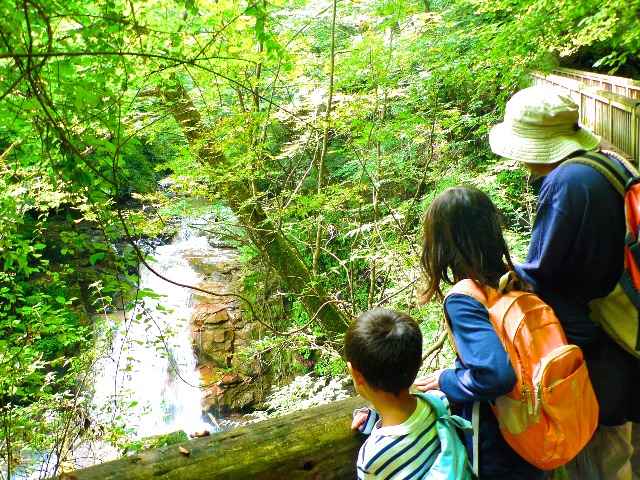 夏のレジャーで気をつけたい！虫刺され対策