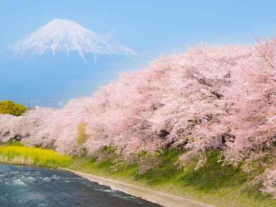 春から夏にかけての養生法をご紹介します！