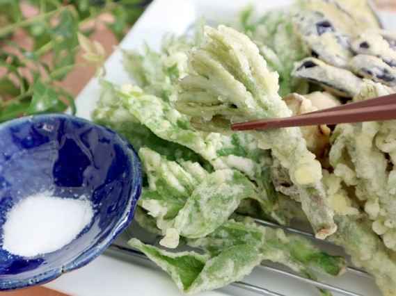 春の野菜《山菜》を存分に味わおう！