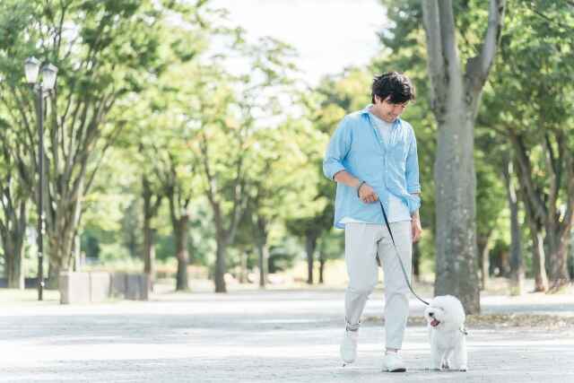 「アトピー」でも犬を飼うことは可能？