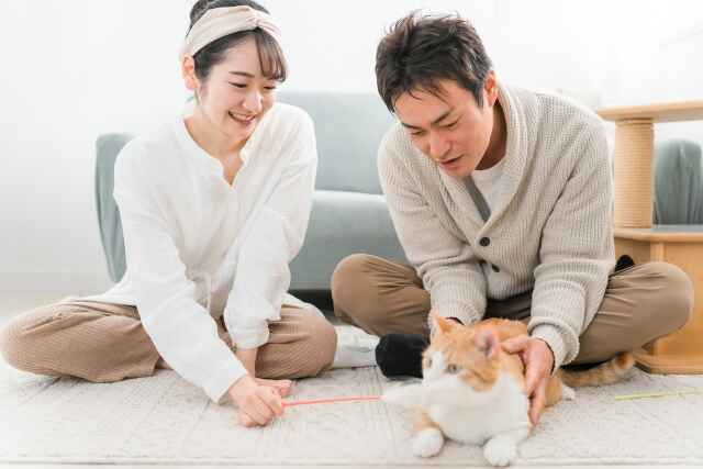 犬・猫がアトピーの原因である場合の対策とは？