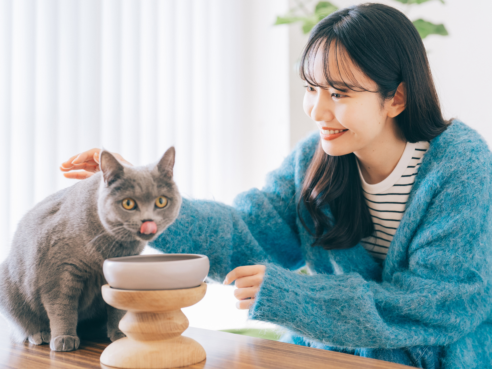 ごはんの催促が増えたときに確認したいこと