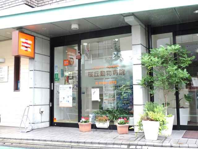 千歳船橋駅周辺の動物病院 東京ドクターズ