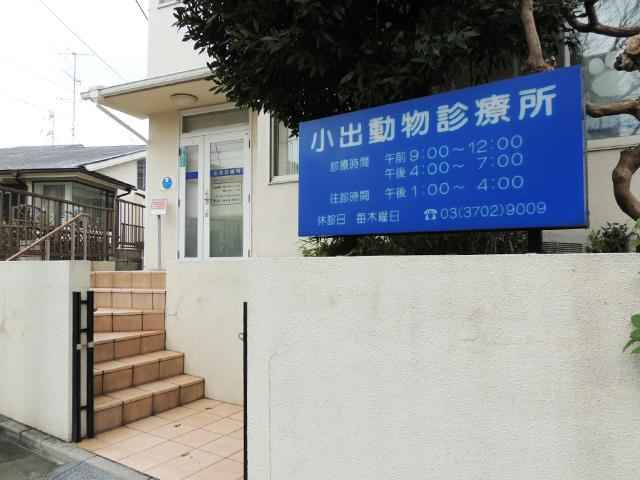 小出動物診療所 尾山台駅 犬 東京ドクターズ