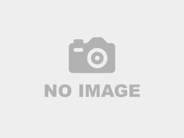 マークワン犬猫病院 学芸大学駅 犬 東京ドクターズ