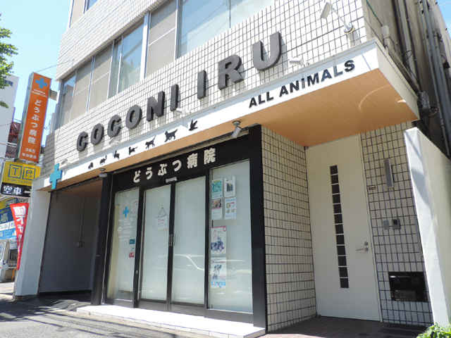 東京都の両生類を診察する動物病院 東京ドクターズ