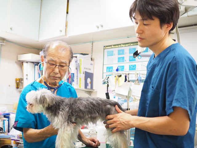 杉並区の動物病院 トリミング 東京ドクターズ