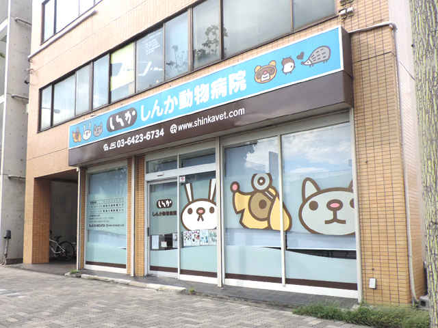 大田区のフェレットを診察する動物病院 東京ドクターズ