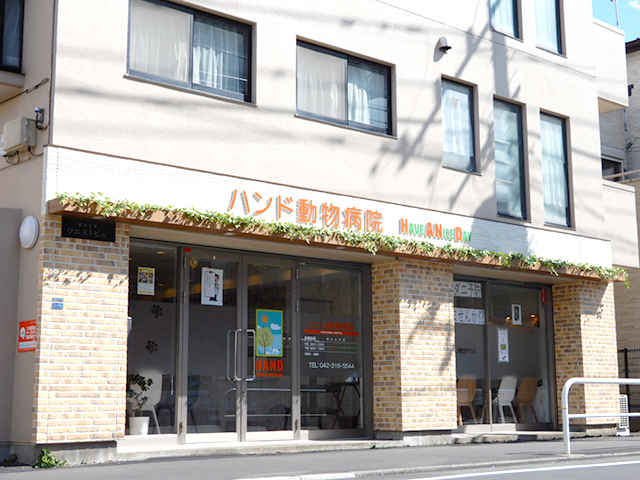 小金井市の犬を診察する動物病院 東京ドクターズ