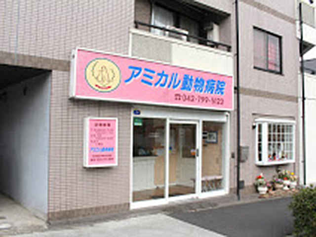 町田市の犬を診察する動物病院 歯科 東京ドクターズ