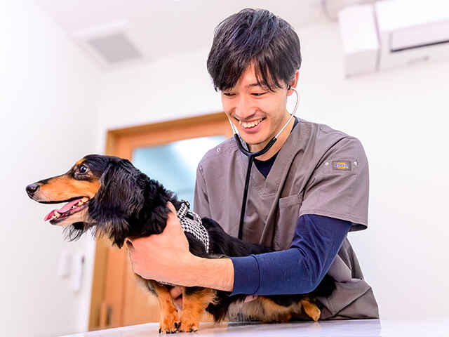 葛西中央どうぶつクリニック