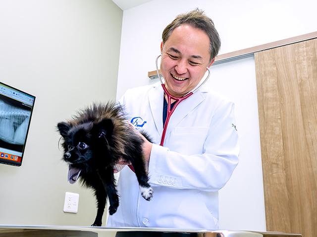 日本動物リファーラルセンター