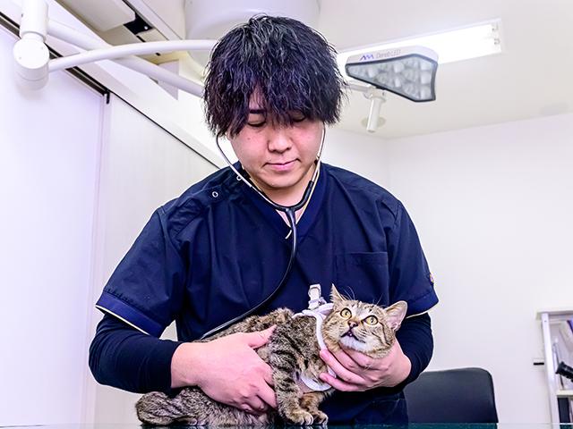 かまた本町動物病院