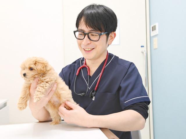 アニホック動物医療センター 小平病院