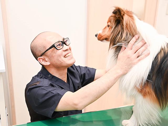 プリモ動物病院 練馬