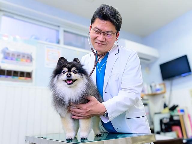 きたぞの動物病院 