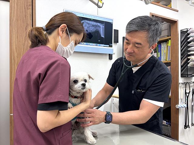 くすの木動物病院