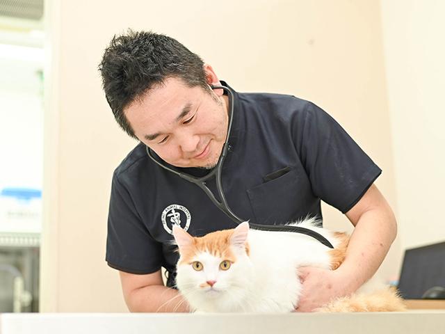 町田森野プリモ動物病院