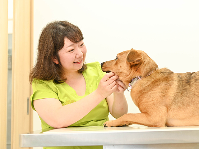ほるん動物クリニック