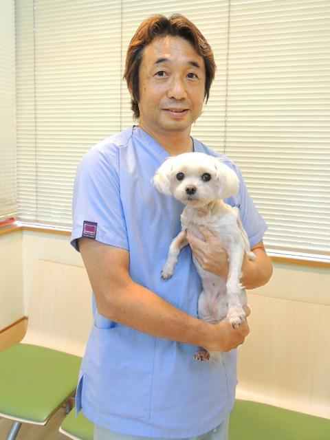 安部 浩之 院長 ひろ動物病院 三ノ輪駅 犬 東京ドクターズ