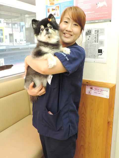 遠藤 美紀 院長 池尻大橋ペットクリニック 池尻大橋駅 犬 東京ドクターズ