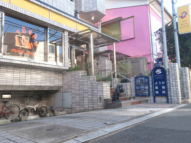 清水 栄治 院長 & 裕子 副院長