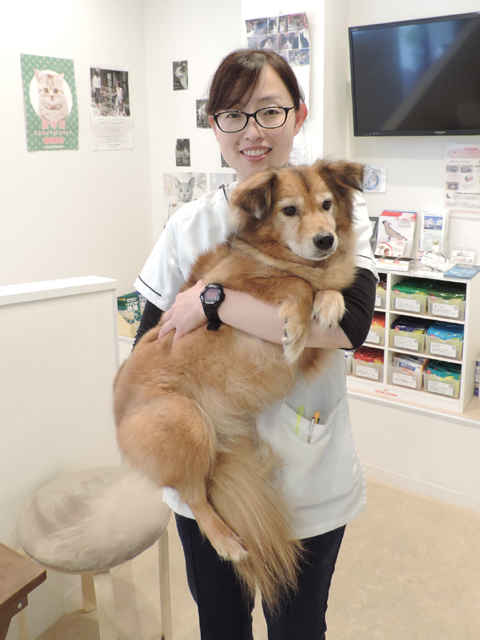 石森 斉子 院長 モフ動物病院 南砂町駅 犬 東京ドクターズ