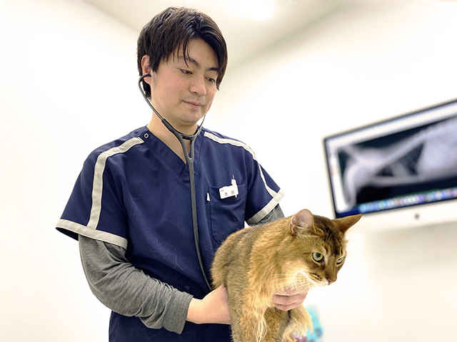 代々木 上原 動物 病院