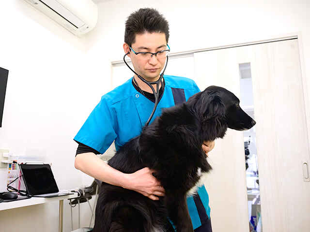金﨑 俊介 院長