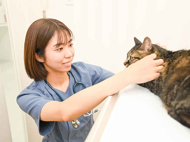 戸谷 周太 院長