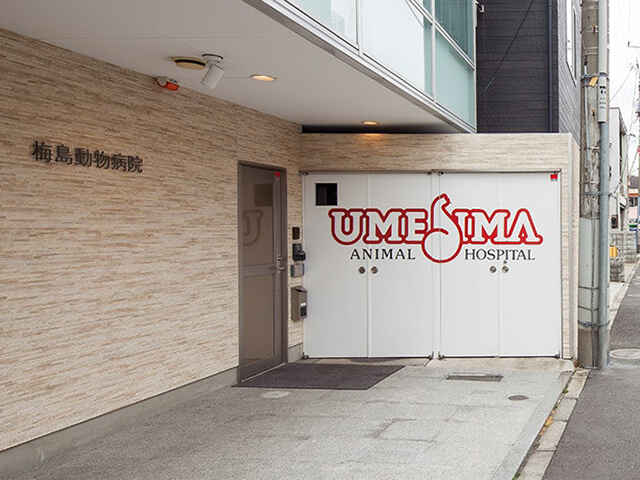 宮川 健治 院長