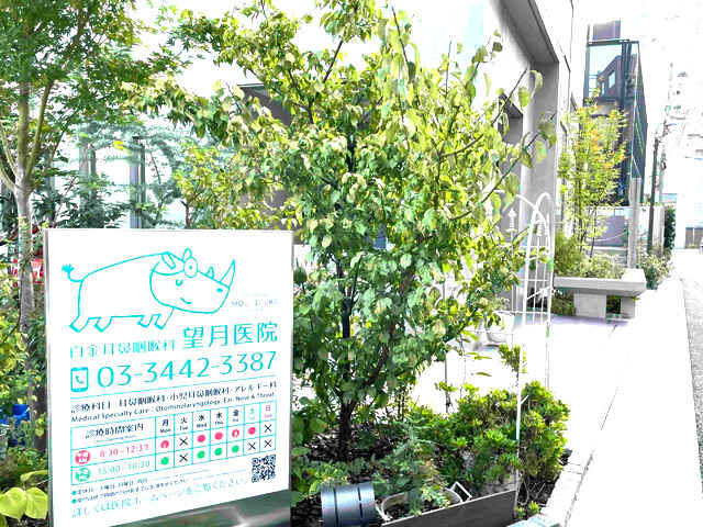望月 義也 院長