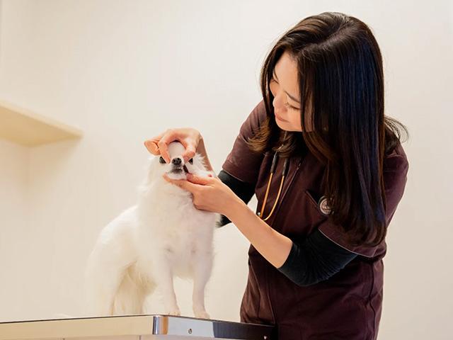 森田 三春子 院長