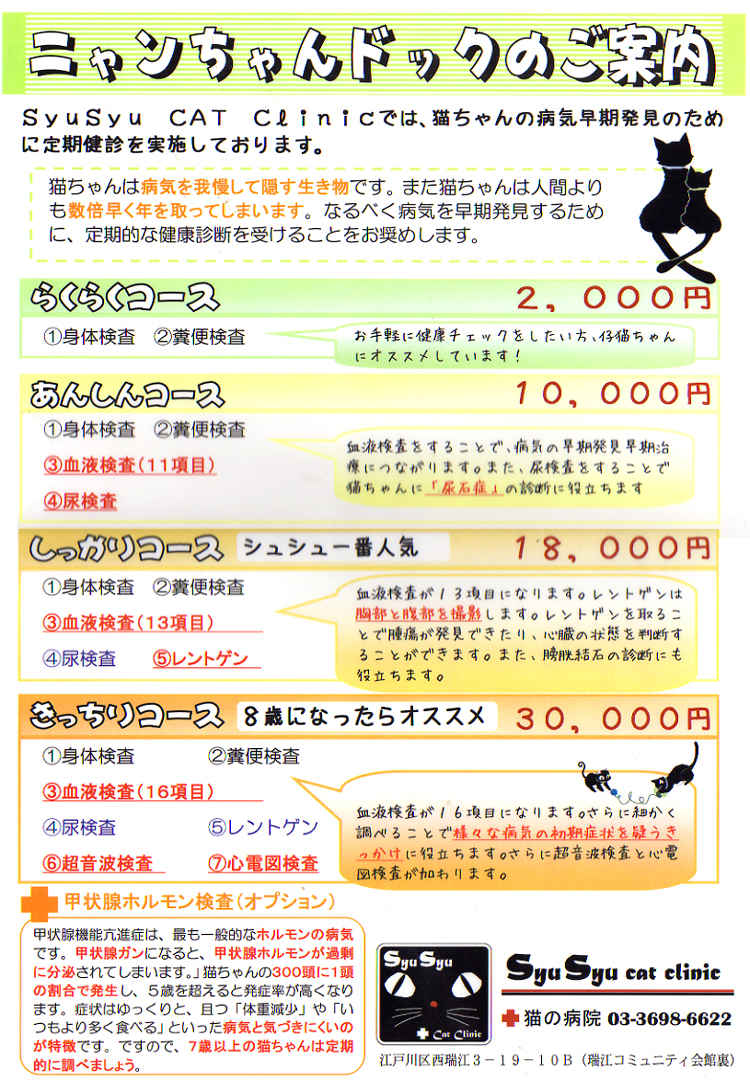 猫の病院シュシュのお知らせ内容