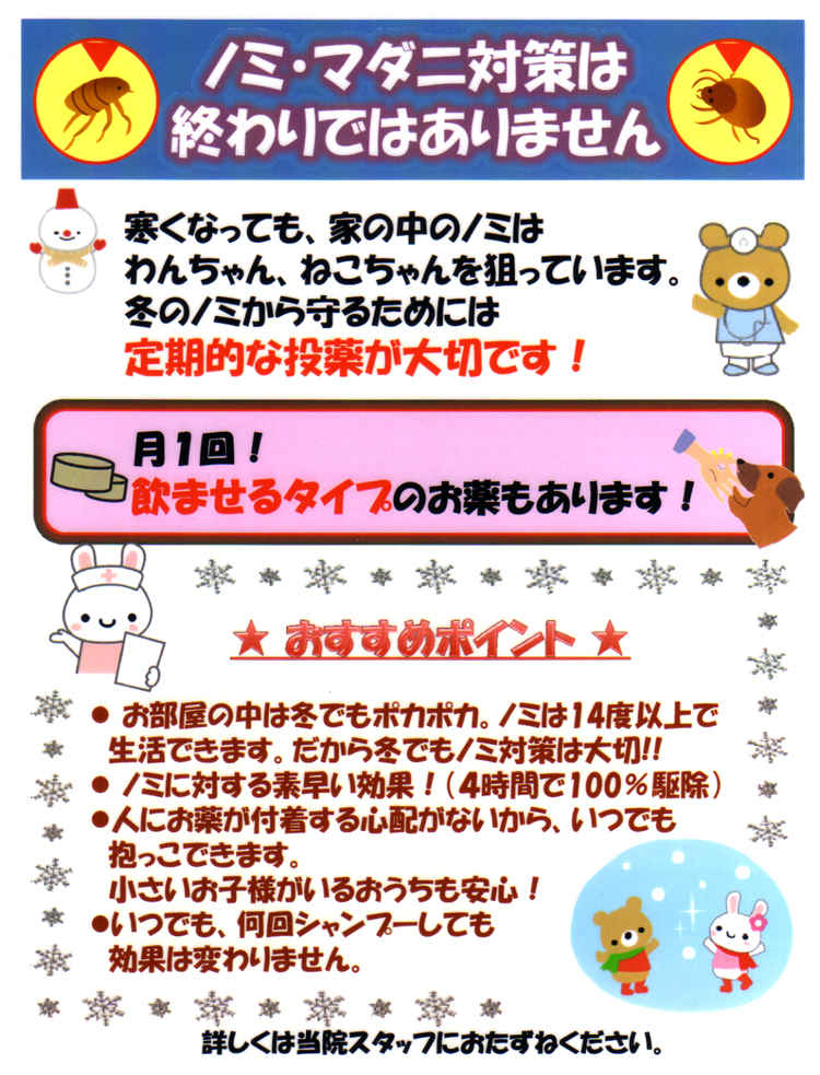毛利動物クリニックのお知らせ内容