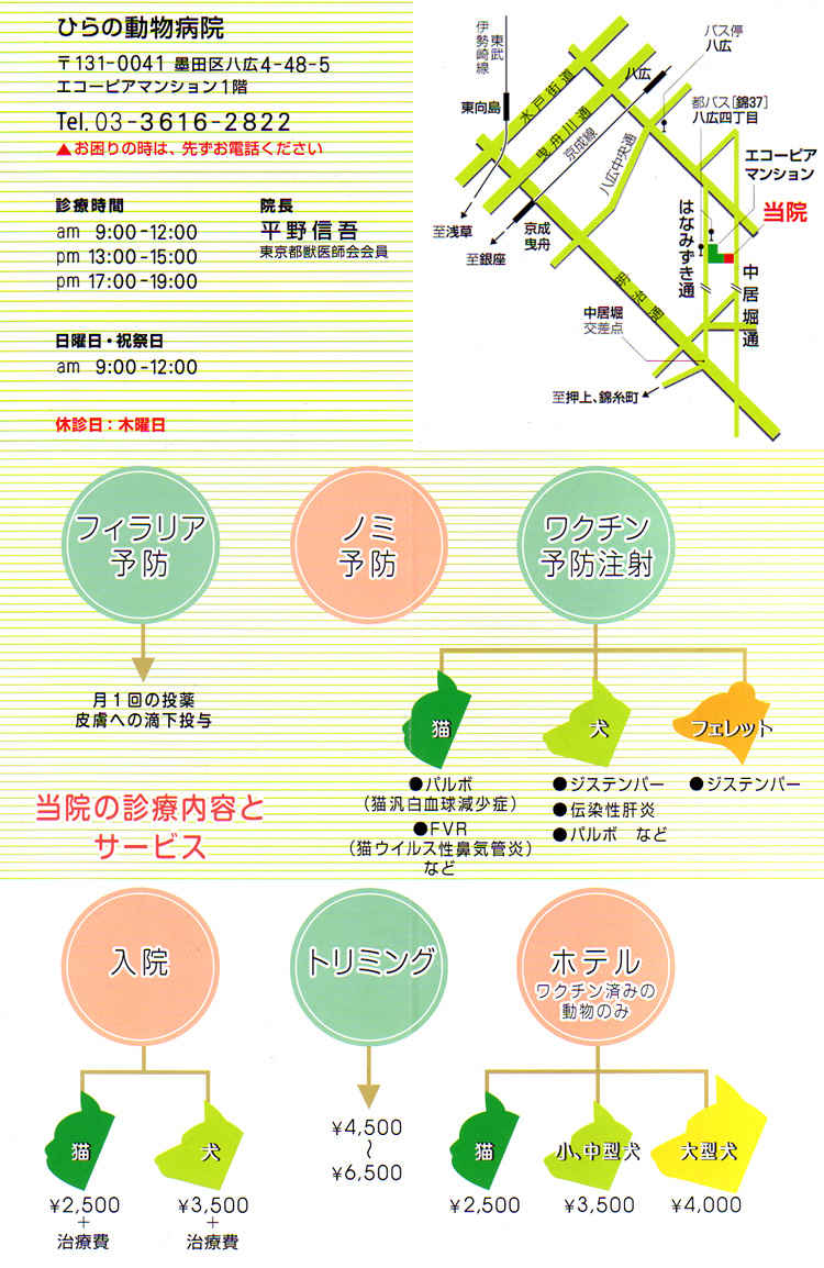ひらの動物病院のお知らせ内容