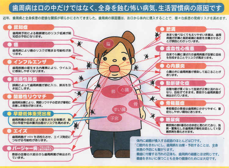 かめいどファミリー歯科のお知らせ内容