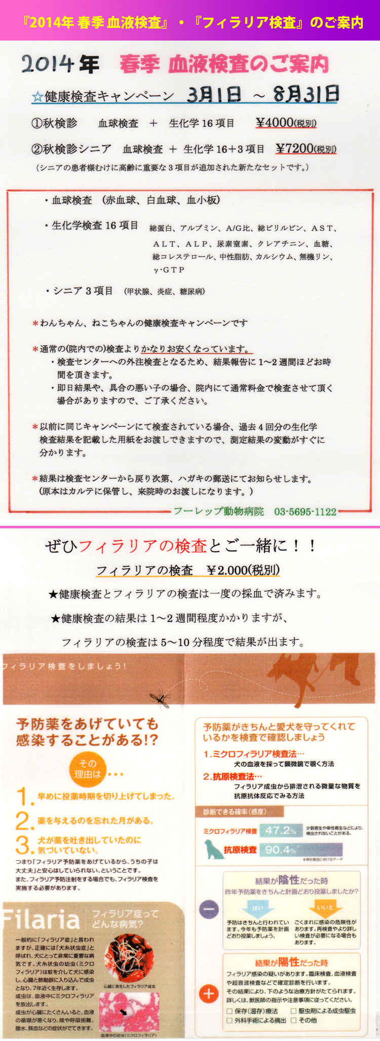 フーレップ動物病院のお知らせ内容