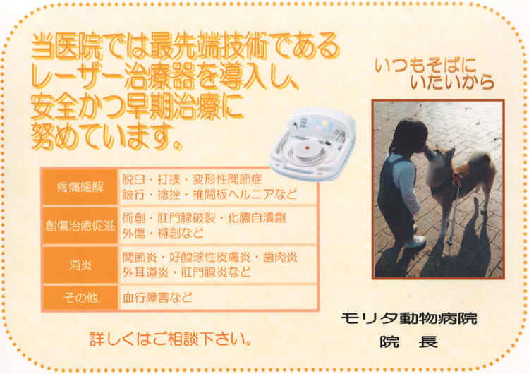 モリタ動物病院のお知らせ内容