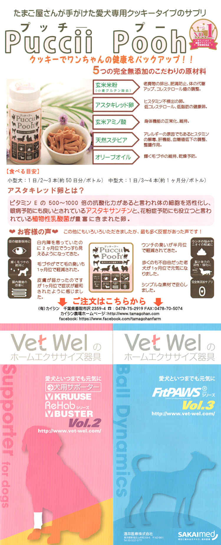 D&C Physical Therapyのお知らせ内容